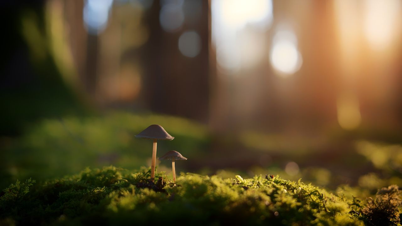 Why Students Choose Clinical Cognitive Facilitator Training in Portland